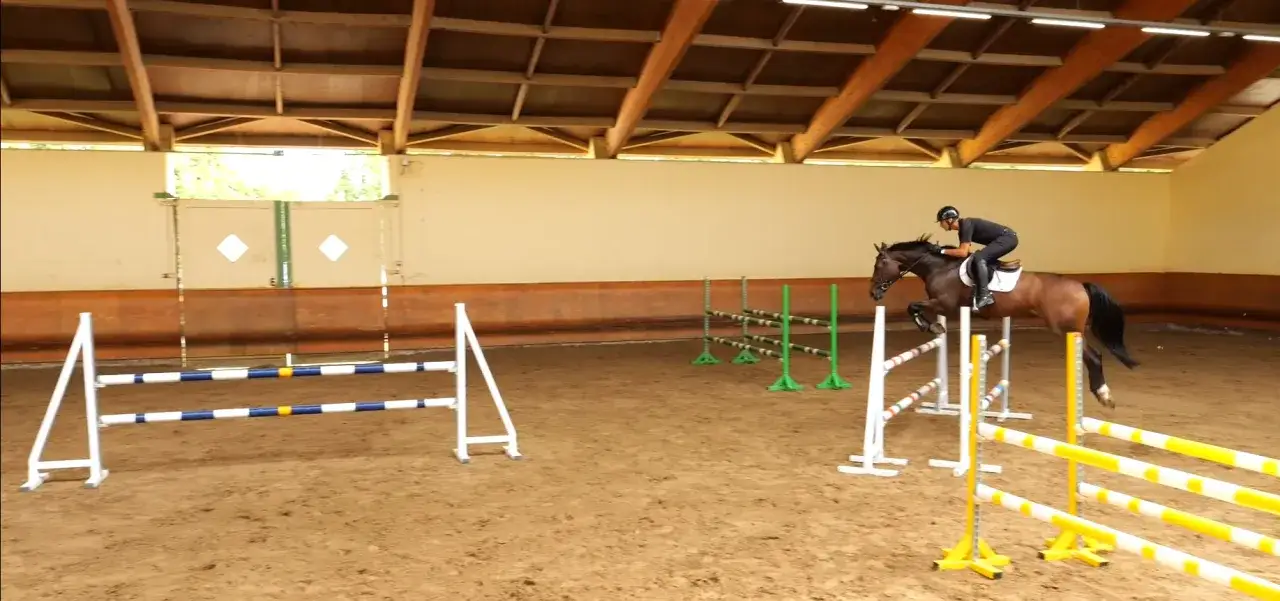Un cavalier et son cheval s'entra&icirc;nent &agrave; l'&eacute;quitation de travail, sautant par-dessus des obstacles dans une carri&egrave;re couverte.