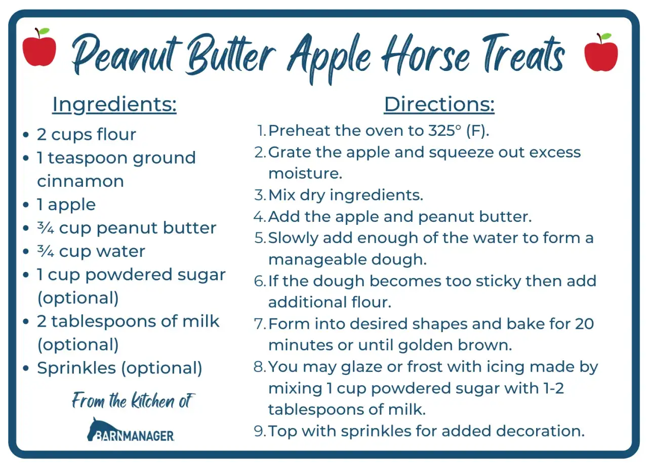 Recette de friandise pour chevaux fait maison : beurre de cacahu&egrave;te et pomme. Ingr&eacute;dients et instructions pour des friandises sans cuisson.