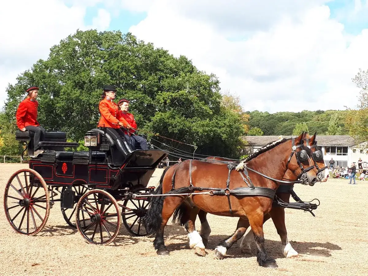 Deux chevaux de trait breton tirent une calèche noire ornée de rouge, avec trois personnes en tenue d'apparat.