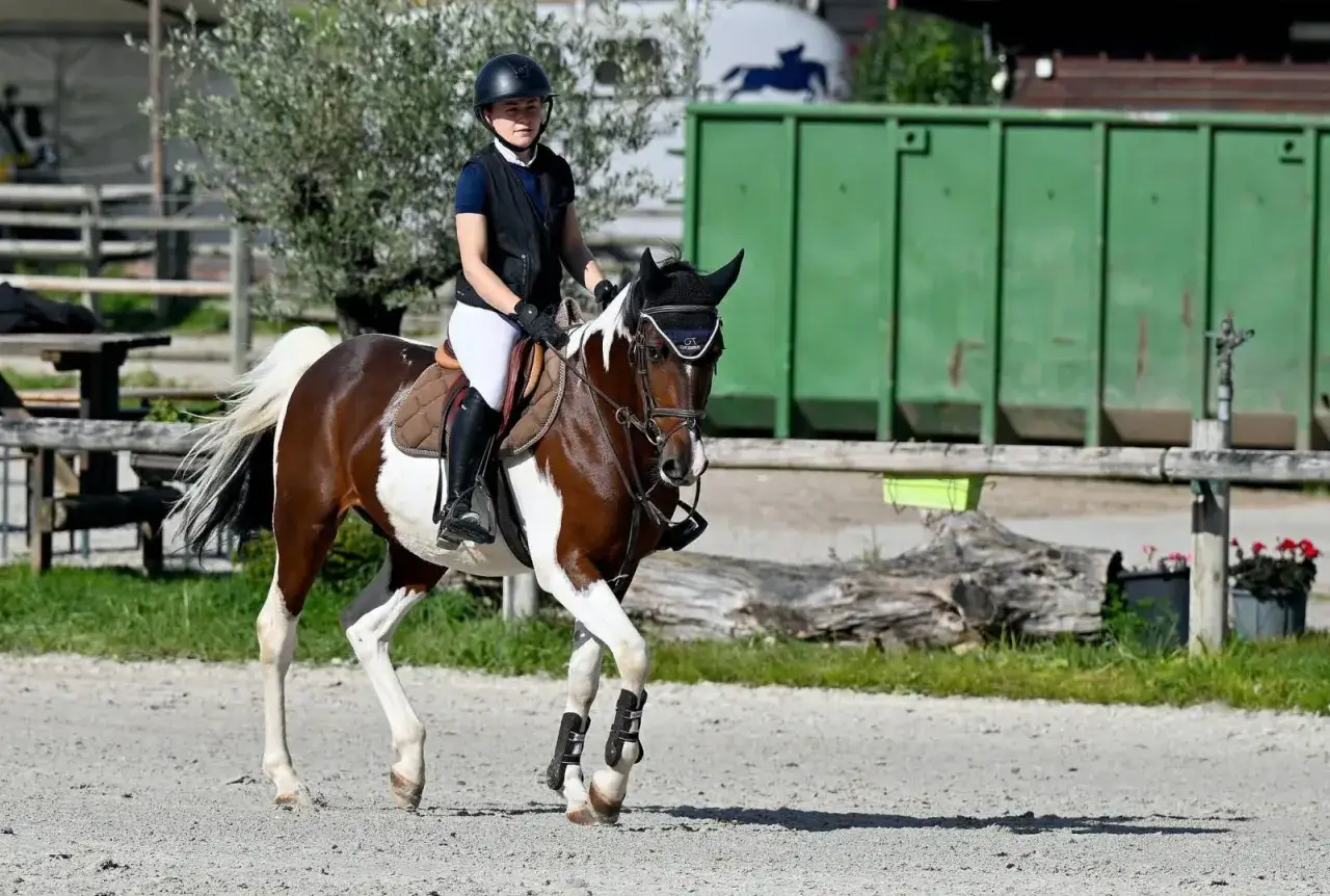 Jeune cavalier pro en action, sur son cheval pie, lors d'une comp&eacute;tition &eacute;questre en plein air.