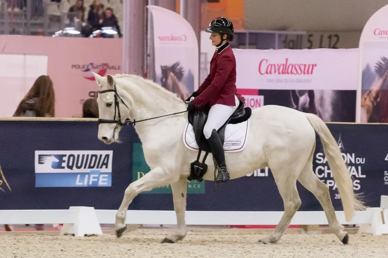 Une cavali&egrave;re en tenue de concours ex&eacute;cute une reprise de dressage, respectant le r&egrave;glement dressage FFE. Le cheval blanc est &eacute;l&eacute;gant.