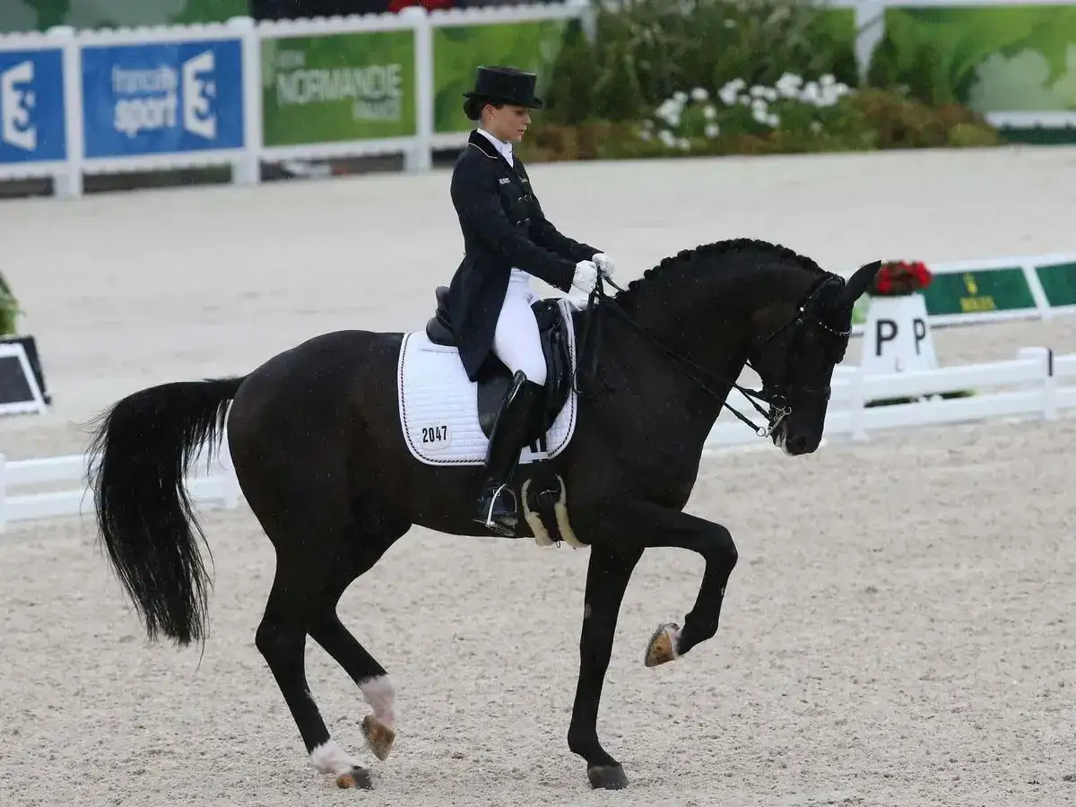 Une cavali&egrave;re en tenue de comp&eacute;tition ex&eacute;cute un mouvement gracieux lors d'une &eacute;preuve de discipline &eacute;questre.