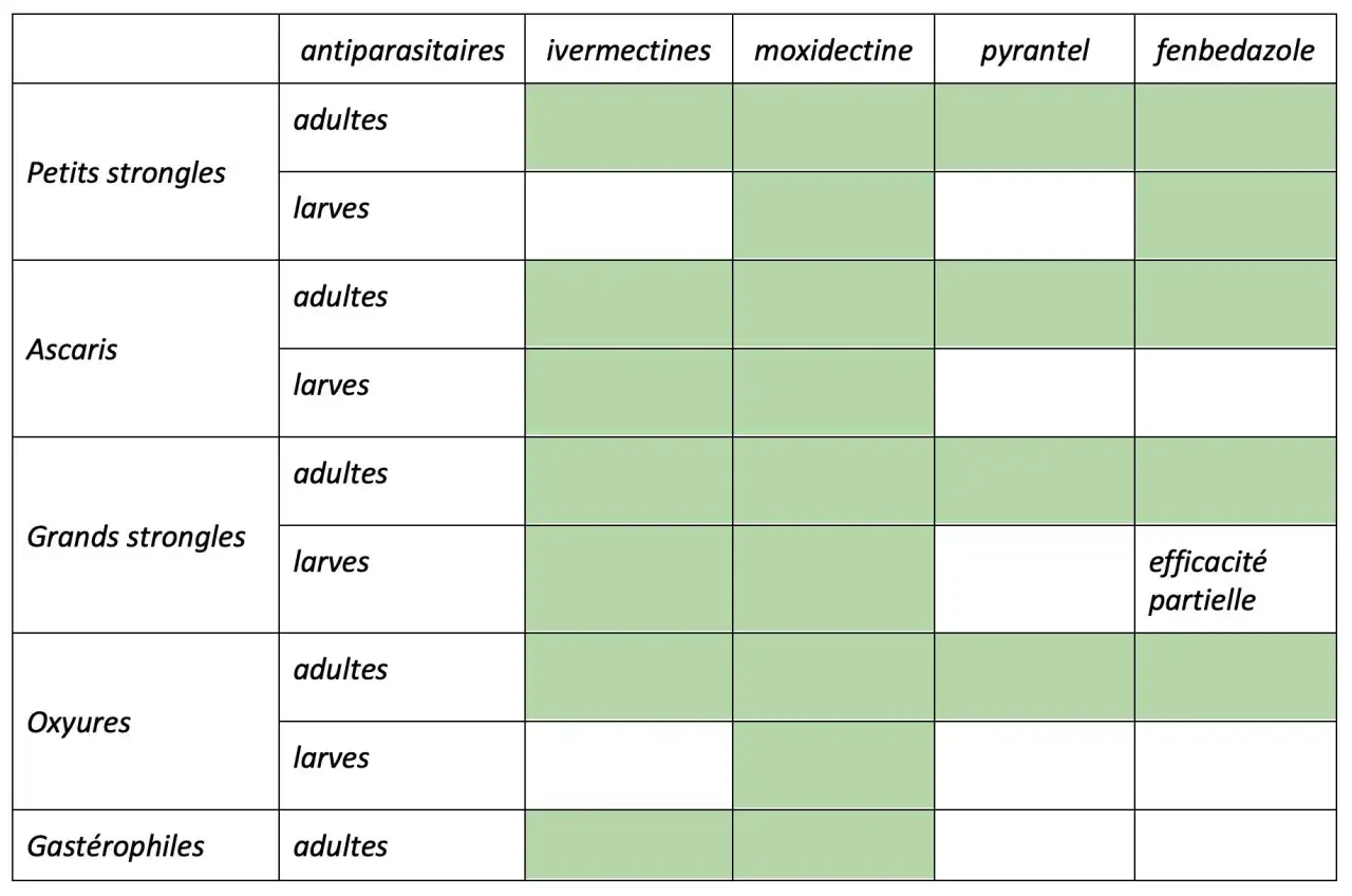 Tableau comparatif des antiparasitaires pour savoir quand vermifuger son cheval selon le type de parasite (adultes/larves).