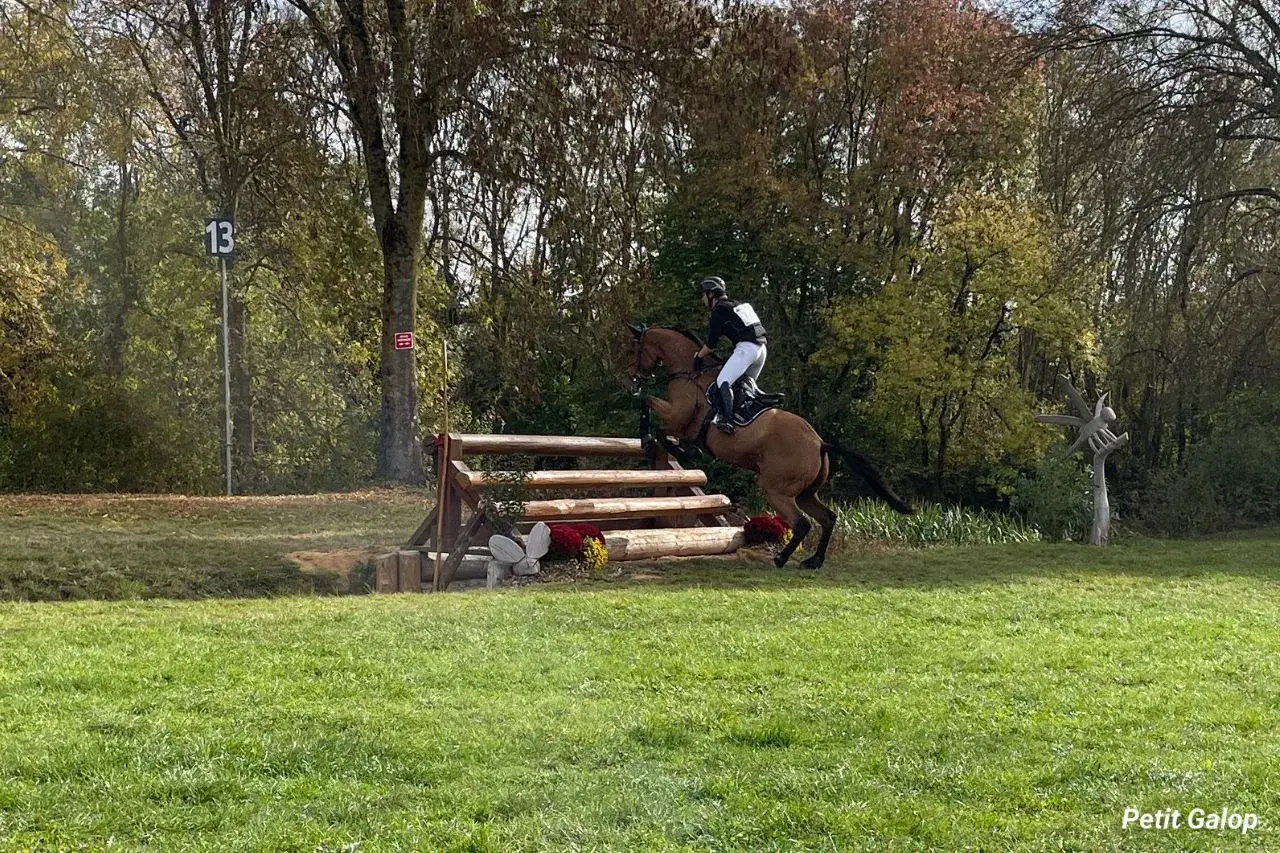 Un cavalier et son cheval franchissent un obstacle de cross galop 5, entourés d'arbres aux couleurs d'automne.
