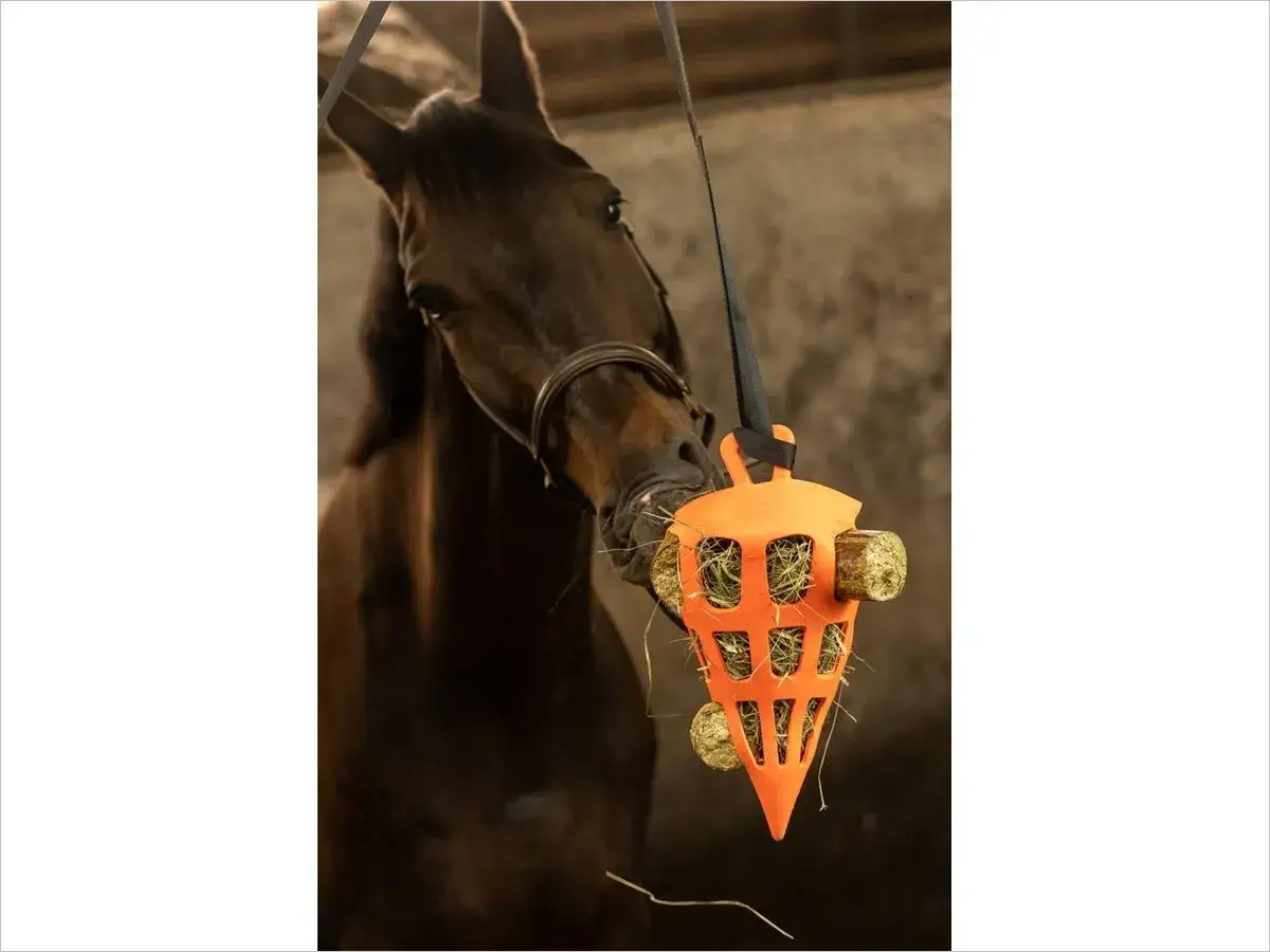 Cheval mangeant dans un distributeur orange. Une alimentation lente peut aider &agrave; pr&eacute;venir les probl&egrave;mes comme la luzerne et l'ulc&egrave;re chez le cheval.