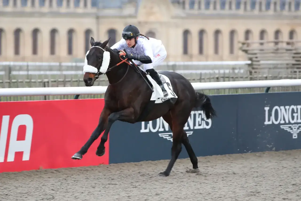 Un jockey concentré mène son cheval au galop sur l'hippodrome, une course intense en perspective.
