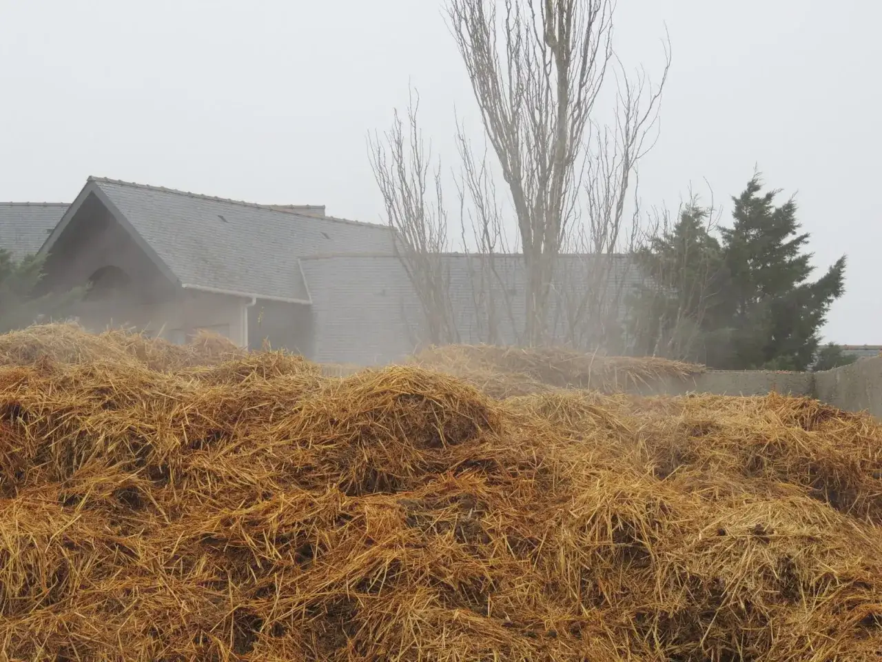 Un tas de paille pour chevaux, pr&ecirc;t &agrave; &ecirc;tre utilis&eacute;, devant une maison aux toits gris et aux arbres d&eacute;nud&eacute;s.