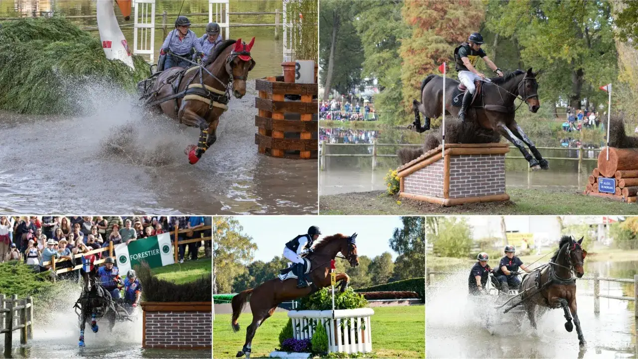 Des cavaliers et leurs chevaux affrontent des obstacles aquatiques et terrestres lors d'un intense concours complet d'équitation.