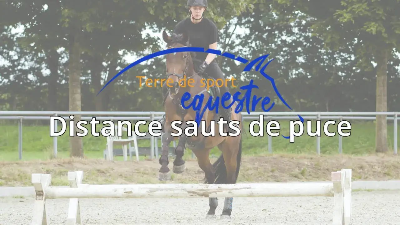 Cavalier et cheval en plein saut, sur fond de verdure. Le texte 
