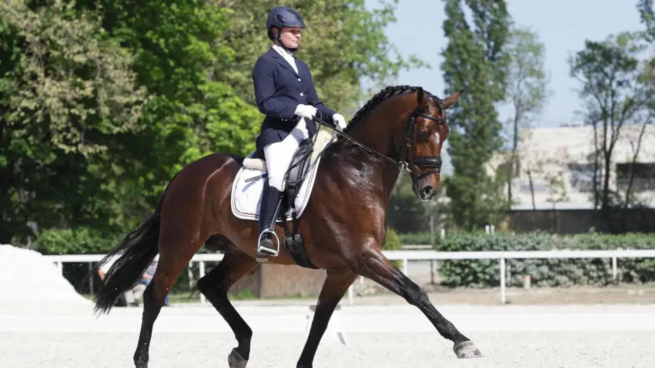 Une cavali&egrave;re en tenue de dressage ex&eacute;cute un mouvement avec son cheval brun. Ce sport &eacute;questre demande pr&eacute;cision et harmonie.