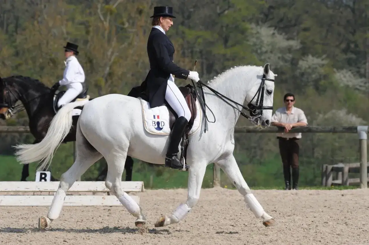 Une cavali&egrave;re en tenue de dressage monte un cheval blanc. Un autre cheval noir est visible derri&egrave;re.
