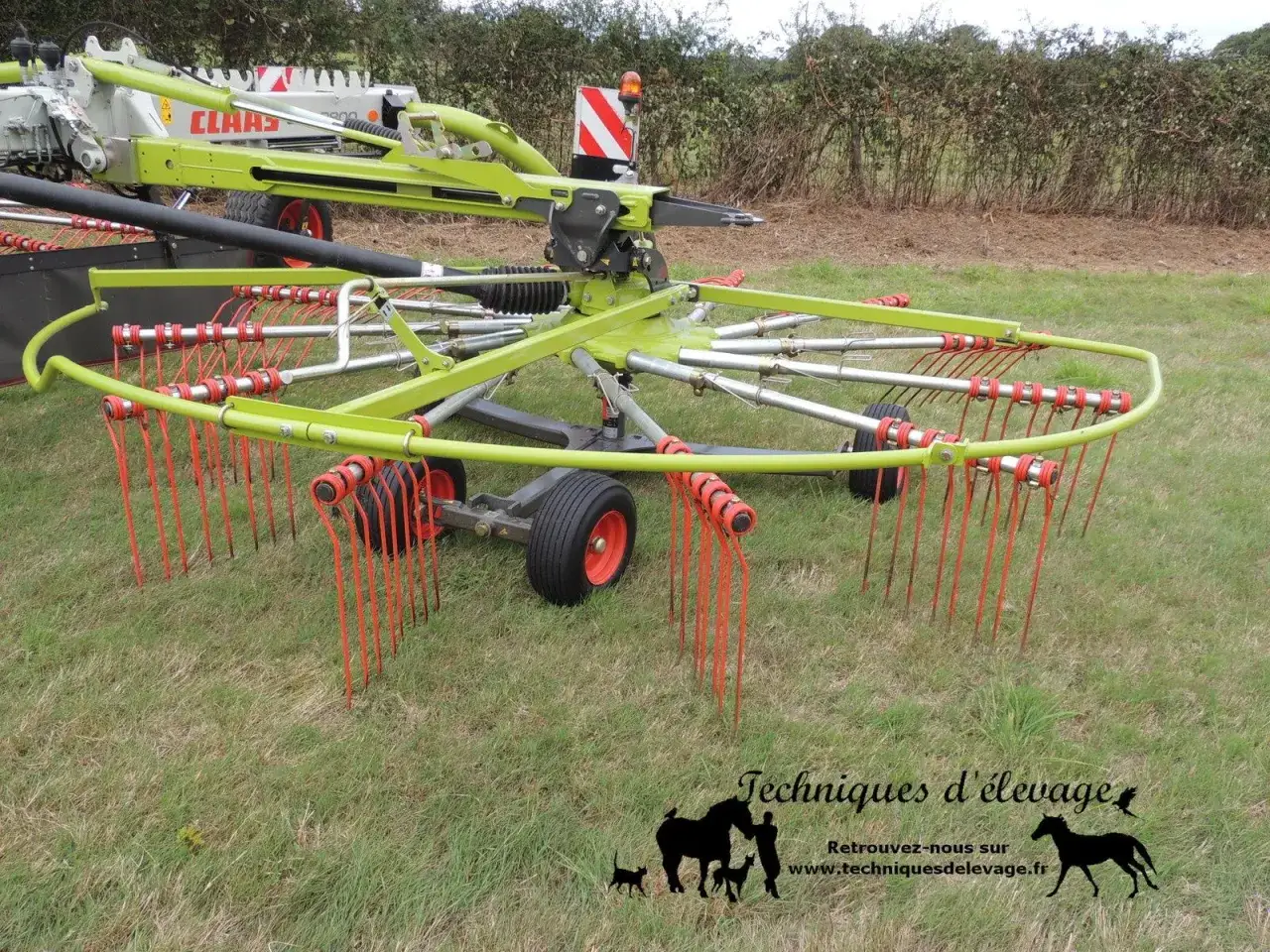 Une faneuse CLAAS verte sur un champ d'herbe, prête à préparer le foin pour les chevaux.