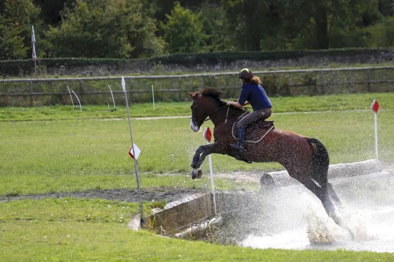 Un cheval et son cavalier franchissent un obstacle d'eau lors d'une &eacute;preuve de cross. L'eau &eacute;clabousse autour du cheval en plein saut.