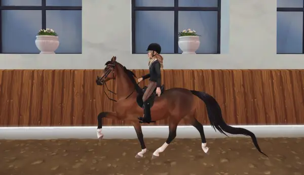 Une cavalière monte un magnifique American Saddlebred dans une carrière.