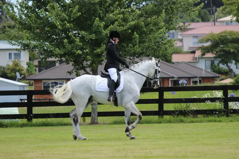 Épaule en dedans: Réussir sans crisper le cheval